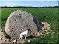 SN1040 : Trefael stone by Natasha Ceridwen de Chroustchoff