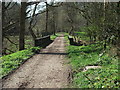 The footpath on The Glyn Valley Tramway