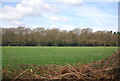 Farmland by Pillar Box Rd