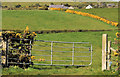 Gate near Saintfield