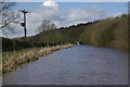 Ashby Canal and Ambion Wood