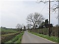 Well groomed road-side hedges along the Ouley Road