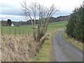 Country road near Over Ascreavie