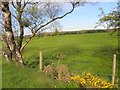 Garvaghy Townland