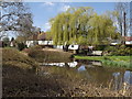 SU6948 : Village Pond, Upton Grey by Colin Smith