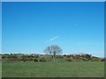 J3637 : Farmland north of the A25 (Ardbannon Road) by Eric Jones
