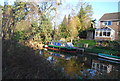 Basingstoke Canal - narrowboat