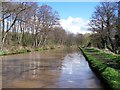 SJ5759 : Shropshire Union Canal near Bunbury by David Martin
