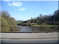 The River Dart - Totnes