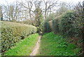 Footpath to Oldbury Hill