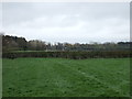 Grazing land near Bruce House Farm