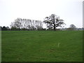 Farmland near the River Swale