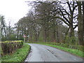 Lane towards Norton-le-Clay