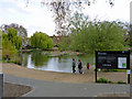 Pond, Barnes Green