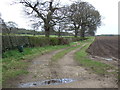 Farm track off Pasture Lane