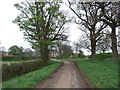 Pasture Lane towards Mount Pleasant