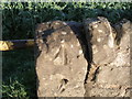 Rivet benchmark on a gatepost on Dog Kennels Lane