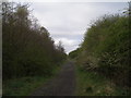 The Cuckoo Way where the railway used to be