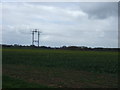 Farmland, Treblesyke Moor