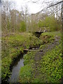 Stream Near Erskine Harbour - Downstream View