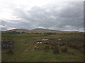 Bridleway to The Green near Lockholme