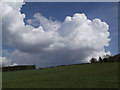 Green field,Big cloud