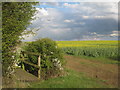 Footpath to Sedgebrook