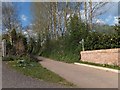 Unmetalled road to Metcombe from Venn Ottery