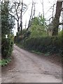 Track and footpath in Higher Metcombe