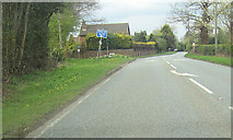 SJ5556 : A49 north at Spurstow by John Firth