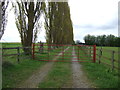 Gated farm track off Moor Lane