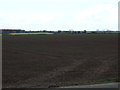 Farmland off the A167