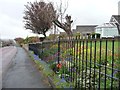 NZ1761 : Gardens along Scotland Head, Winlaton by Christine Johnstone