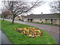 Flower bed, Scotland Head, Winlaton