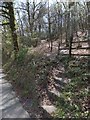 Footpath through Ilsington Wood