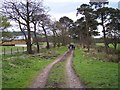 Track leading to Snapes Rake Lane