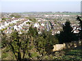 Chepstow Garden City from Mount Pleasant