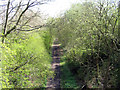 SP2675 : Kenilworth Greenway from Cromwell Lane bridge by E Gammie