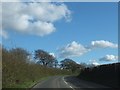 Road south of Gulworthy