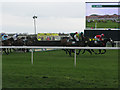 The 2012 Grand National