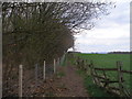 Footpath alongside woodland at The Rough