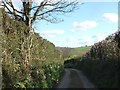 SX4670 : Narrow lane with high banks near Hartshole Farm by David Smith