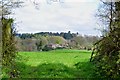 From Sandy Lane across grassland to houses and woodland