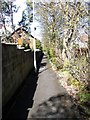 Footpath - Tinshill Road