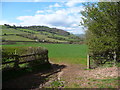 View to hillside above Llyswen