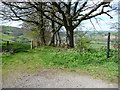 Footpath towards Llyswen