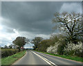 Dead Lane Cross