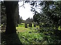 Churchyard at Caldecott