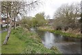 The Lambourn upstream