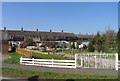 Back gardens of houses on Thorndike Close